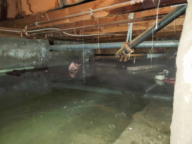 Best Water damage contractors near me  in Grafton, WI