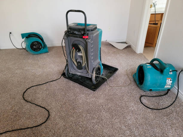 Best Sewage cleanup and water damage restoration  in Grafton, WI