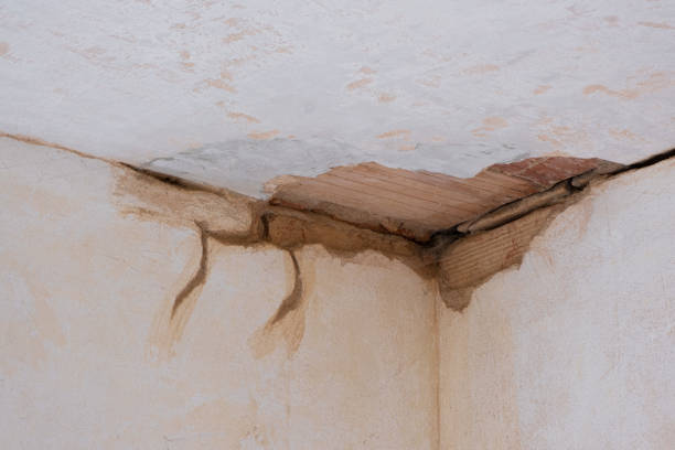 Best Basement water damage restoration  in Grafton, WI