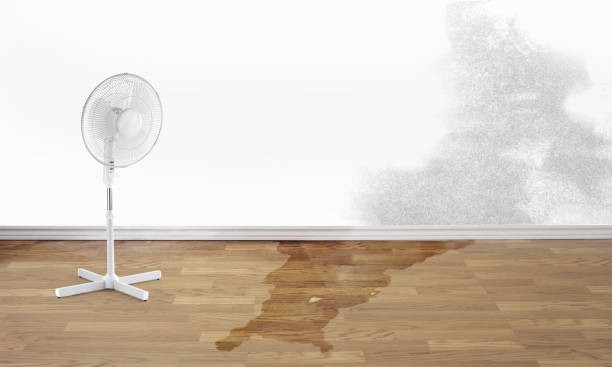 Best Water damage restoration cost  in Grafton, WI