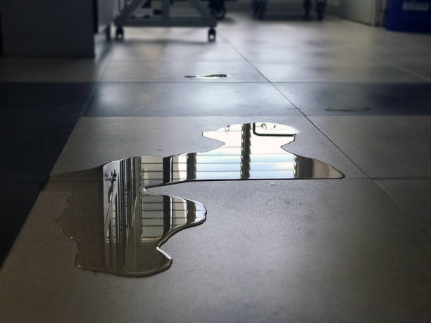 Best Water damage restoration near me  in Grafton, WI