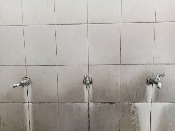 Best Professional water damage repair  in Grafton, WI