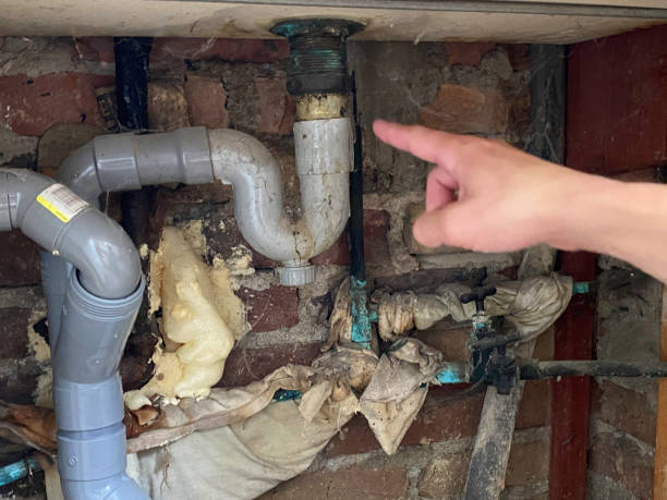 Best Water damage restoration specialists  in Grafton, WI
