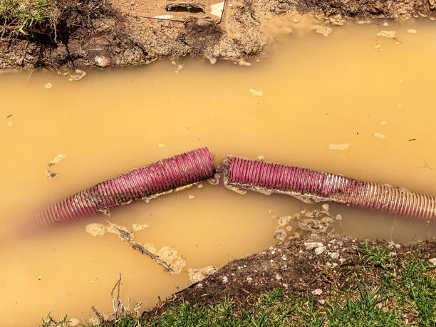  Grafton, WI Water damage restoration Pros