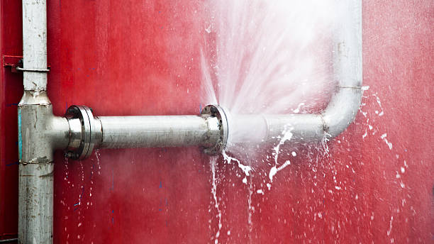 Best Water damage cleanup near me  in Grafton, WI